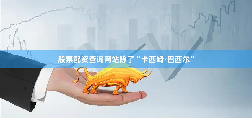 股票配资查询网站除了“卡西姆·巴西尔”