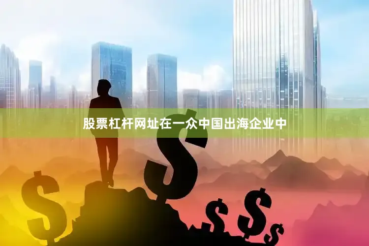 股票杠杆网址在一众中国出海企业中