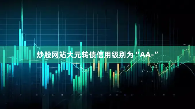 炒股网站大元转债信用级别为“AA-”