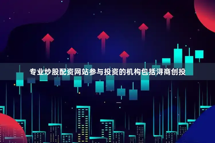 专业炒股配资网站参与投资的机构包括浔商创投